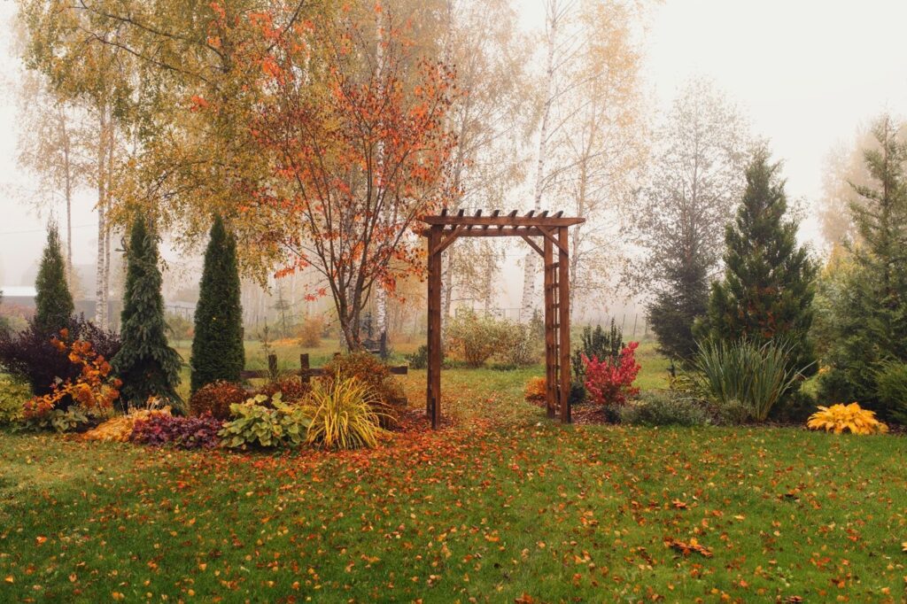 perfect fall scene with arbor in the middle